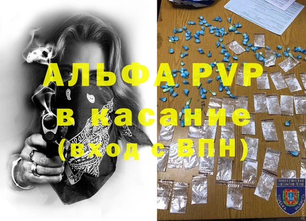 ГАЛЛЮЦИНОГЕННЫЕ ГРИБЫ Майский