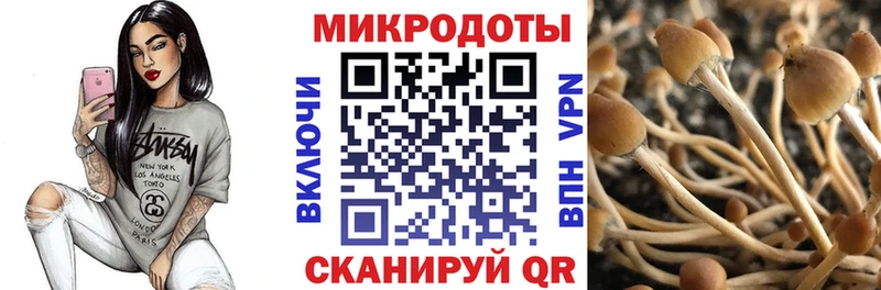 Псилоцибиновые грибы мухоморы  купить наркотики сайты  Первоуральск 