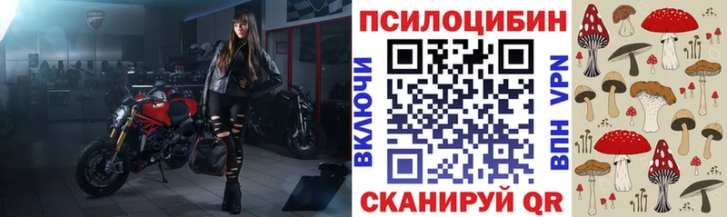 Галлюциногенные грибы Psilocybine cubensis Первоуральск